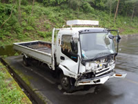 isuzu forward